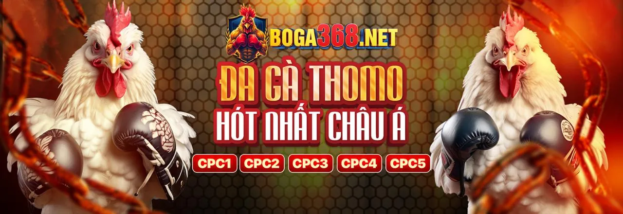 Cài đặt quản lý cookie trên trình duyệt
